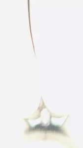 与人妻的日常15